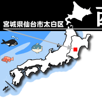 ������l�b�g